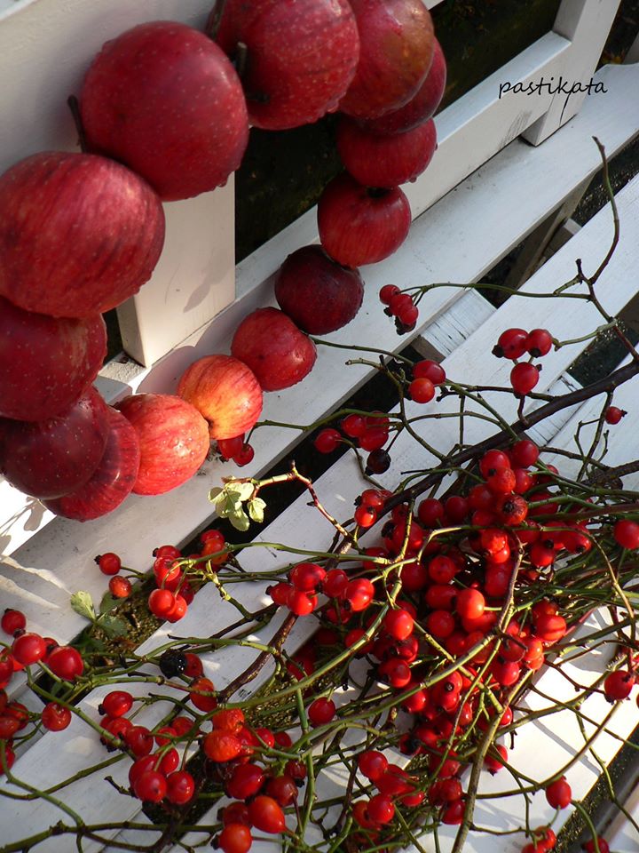 koszoru-es-csipkebogyo