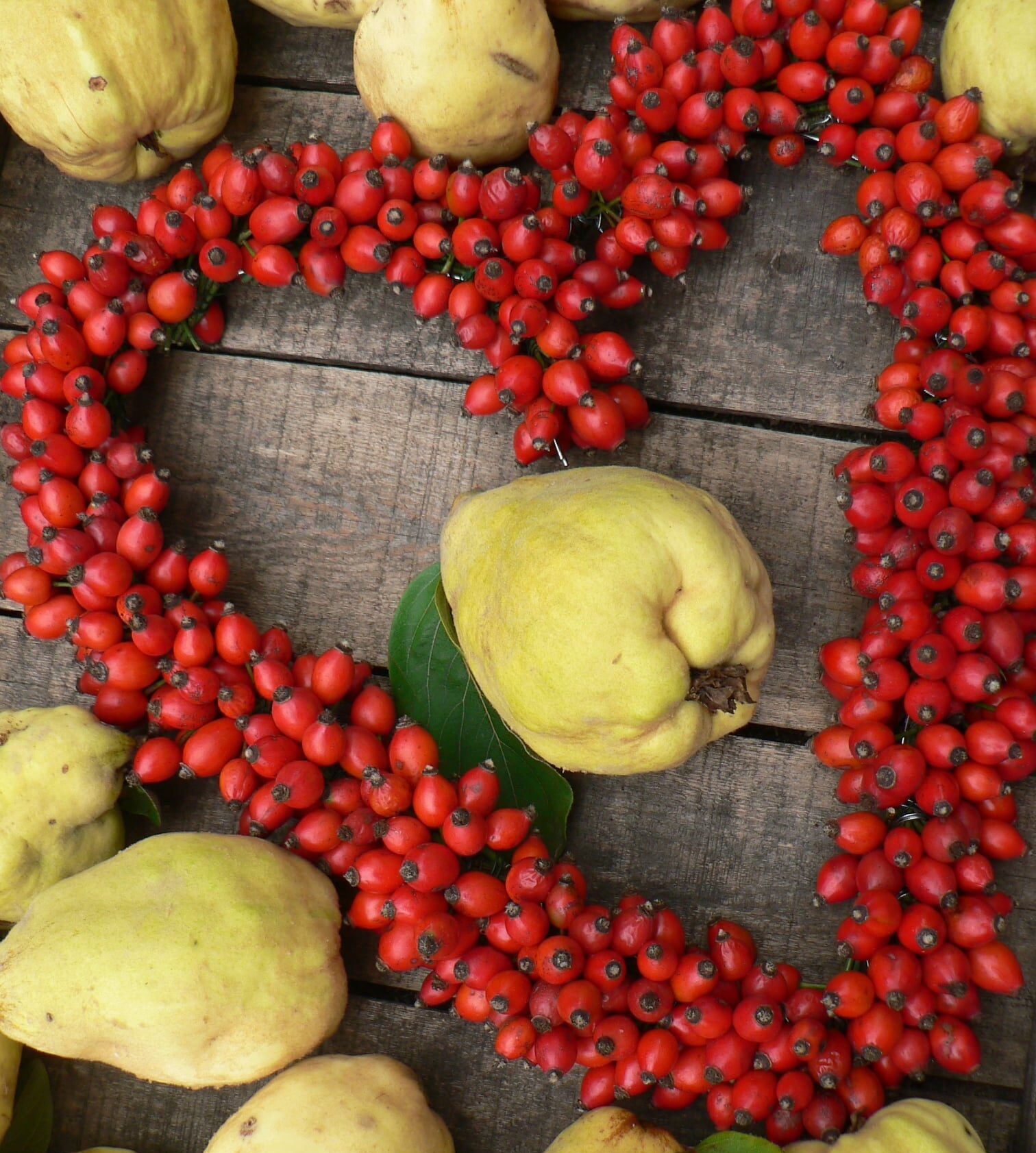 120572255_792382048241374_4694647905320109759_o