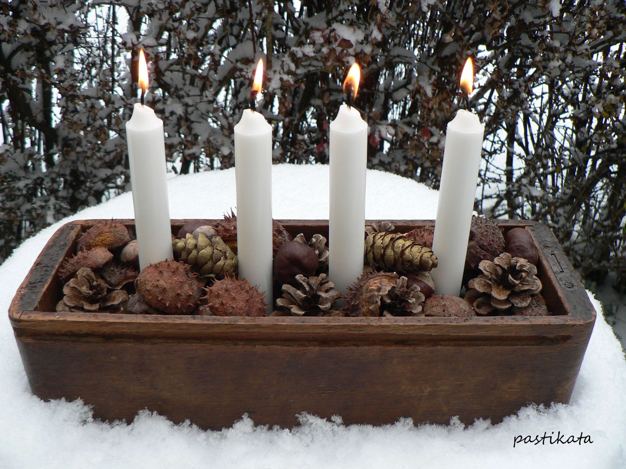 48397382_352777242201859_1500637920837500928_o